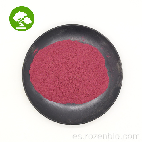 100%de polvo de cerezo en polvo/ extracto de cerezo en polvo de vitamina C